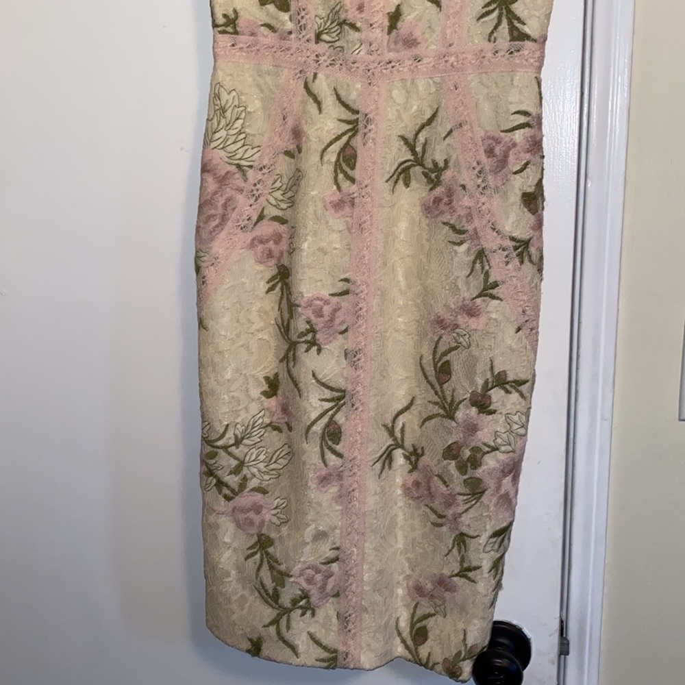 Dress the Population Penelope Sleeveless Lace Sheath Dress - Picture 10 of 12